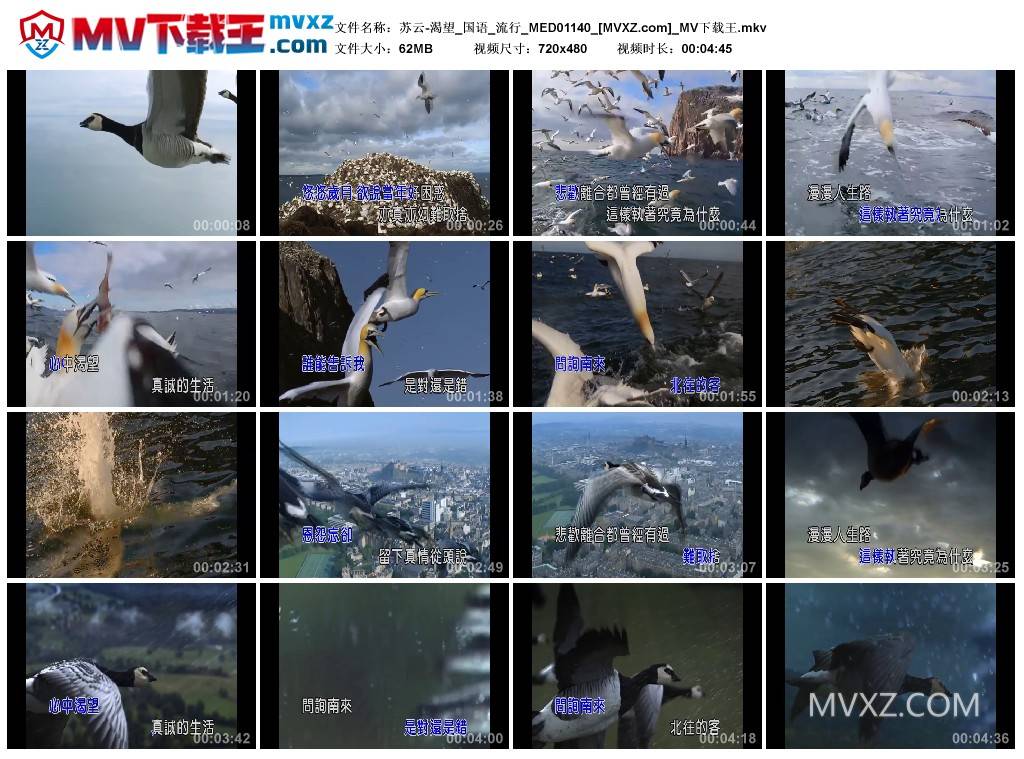苏云-渴望_国语_流行_MED01140